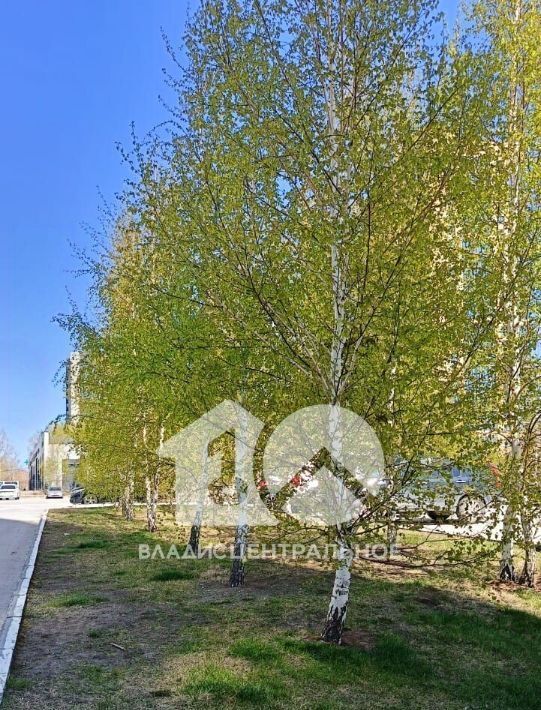 квартира г Новосибирск р-н Калининский Заельцовская ул Фадеева 66/8 жилой массив на Фадеева фото 16