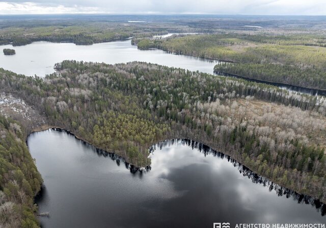 снт Вымпел Кончезерское сельское поселение, Кондопога фото