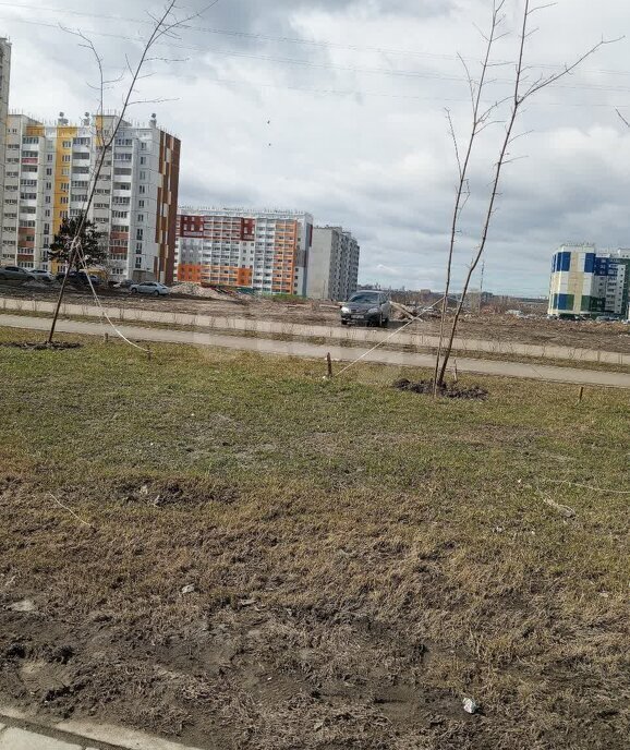 квартира г Челябинск р-н Тракторозаводский ул Эльтонская 2-я 59а фото 5