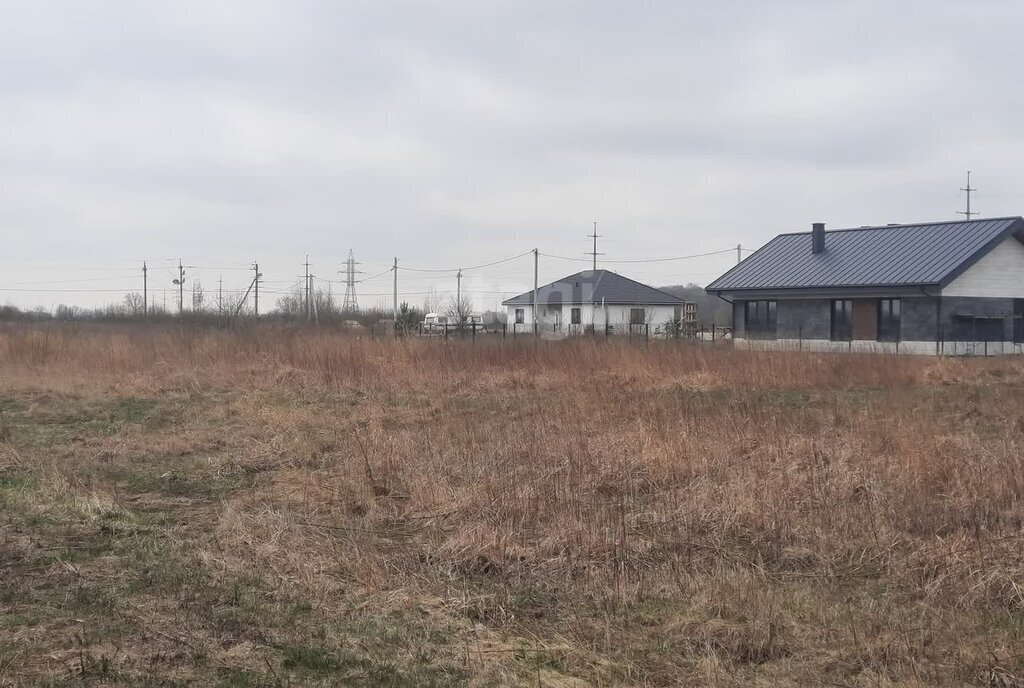 земля р-н Зеленоградский г Зеленоградск п Клинцовка фото 2