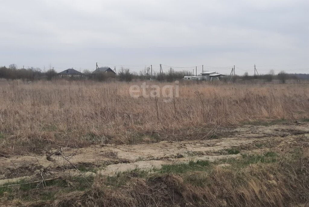 земля р-н Зеленоградский г Зеленоградск п Клинцовка фото 3
