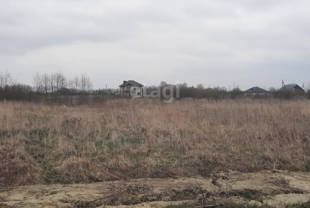 земля р-н Зеленоградский г Зеленоградск п Клинцовка фото 4