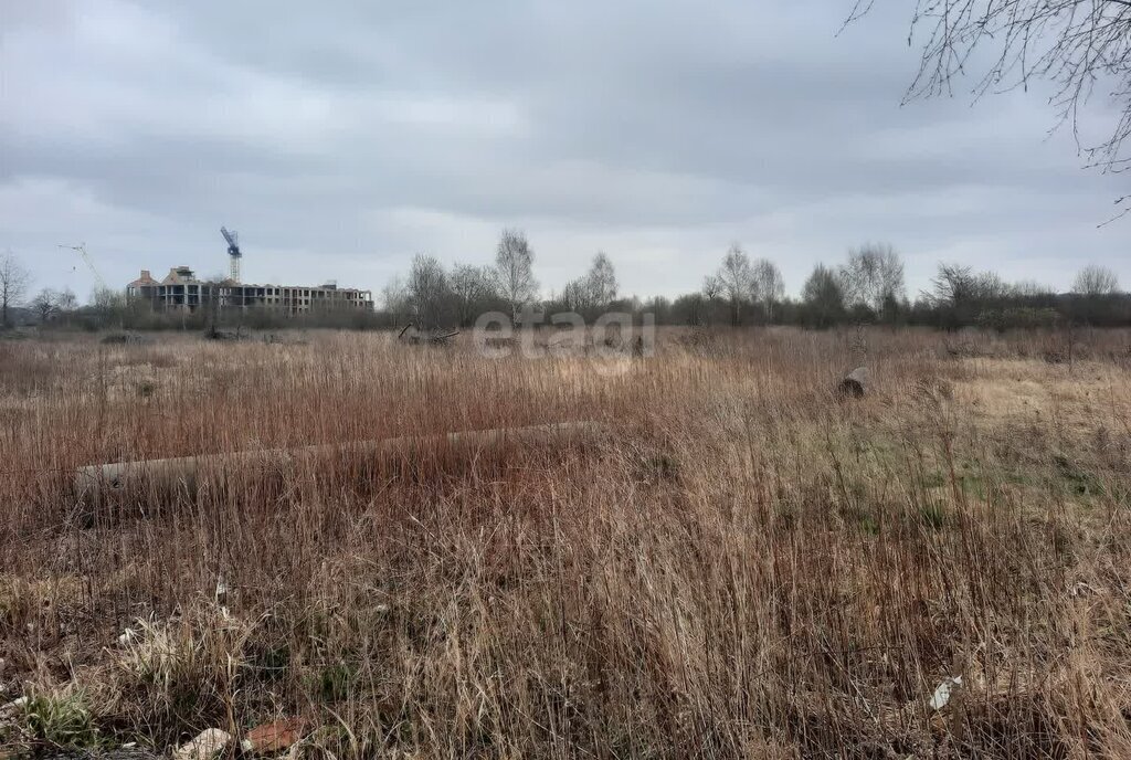 земля р-н Зеленоградский г Зеленоградск п Вишневое фото 3