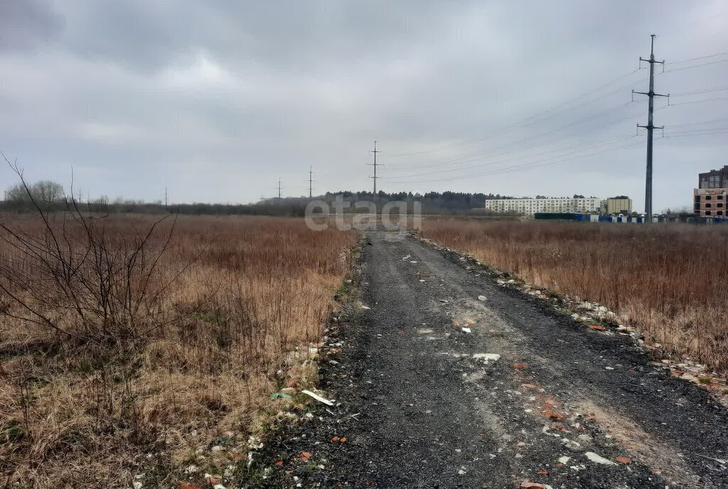 земля р-н Зеленоградский г Зеленоградск п Вишневое фото 4