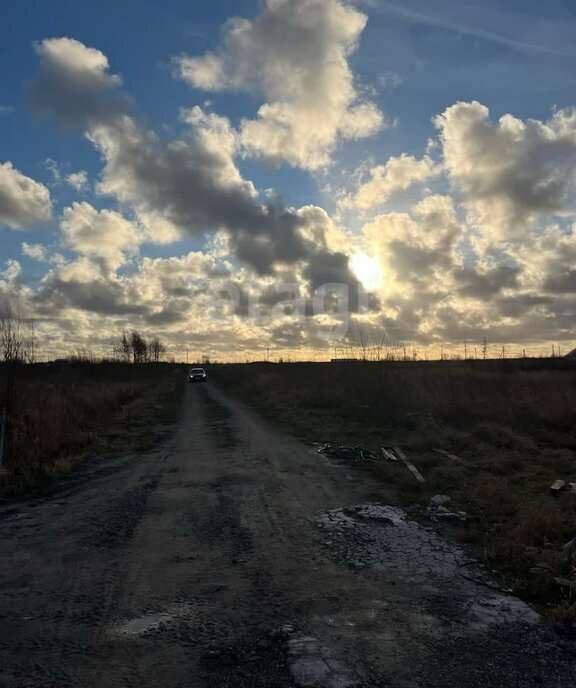 земля р-н Зеленоградский г Зеленоградск п Клинцовка фото 3