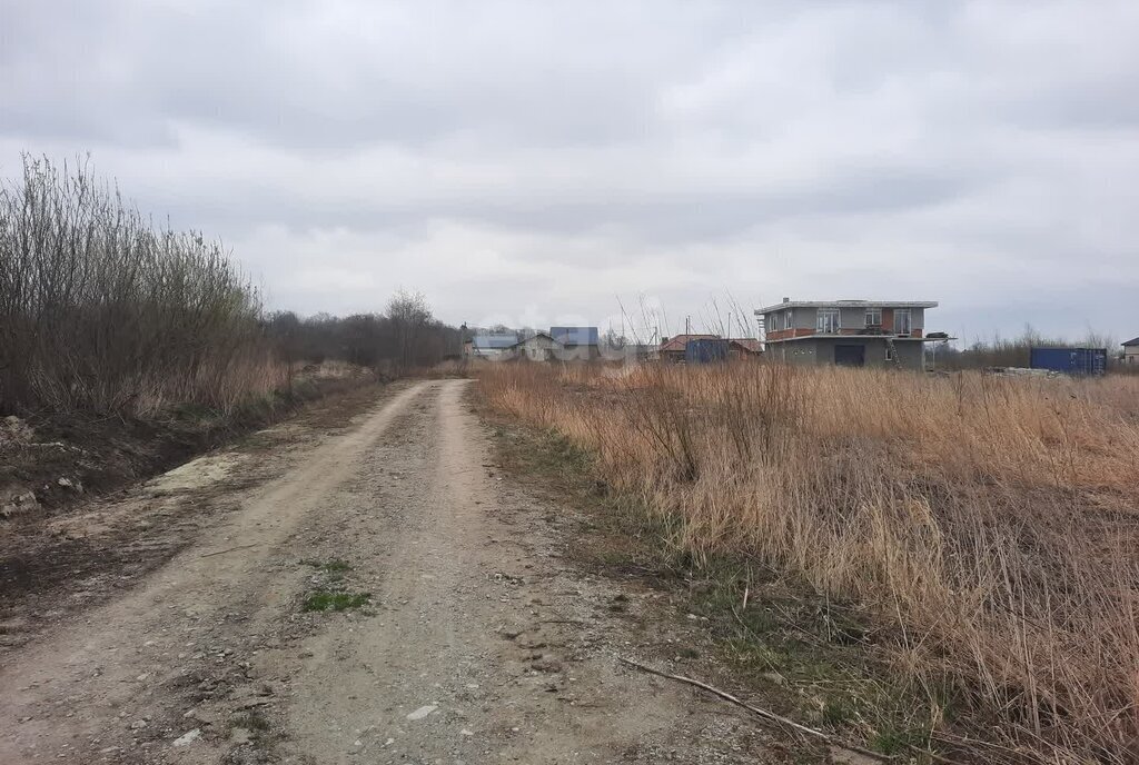 земля р-н Зеленоградский г Зеленоградск п Клинцовка фото 3