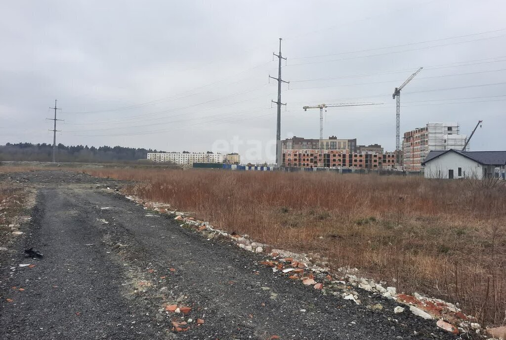 земля р-н Зеленоградский г Зеленоградск п Вишневое фото 2