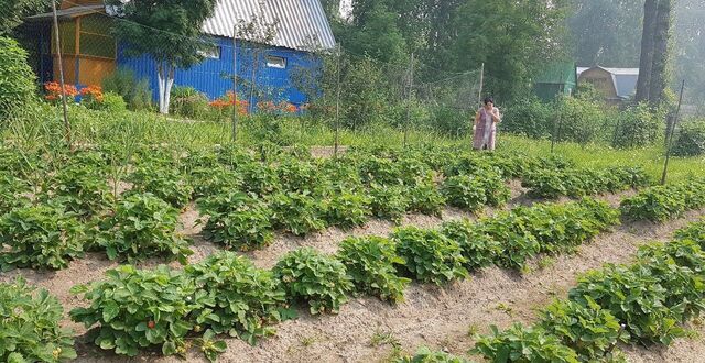 дом ул Луговая Тюменская обл., садово-огородническое некоммерческое товарищество Факел фото