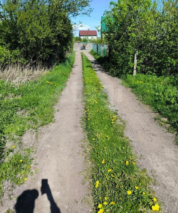 земля г Калининград р-н Московский снт Ромашка Клубничная улица фото 8