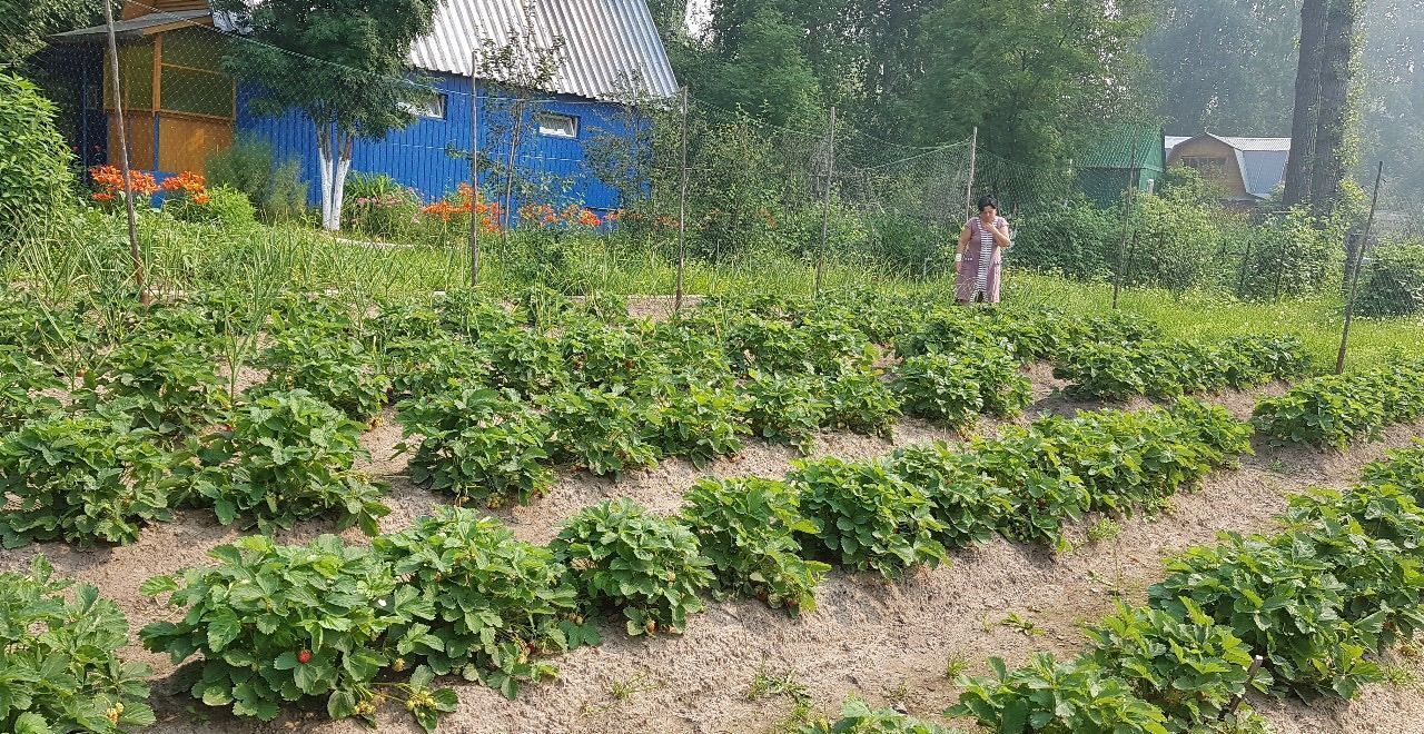 дом г Нижневартовск ул Луговая Тюменская обл., садово-огородническое некоммерческое товарищество Факел фото 14