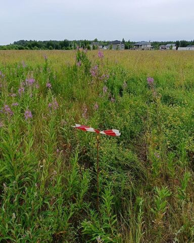 ул Октябрьская Горбунки, Аннинское городское поселение фото