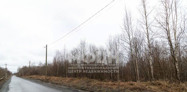 Янишпольское с/пос фото