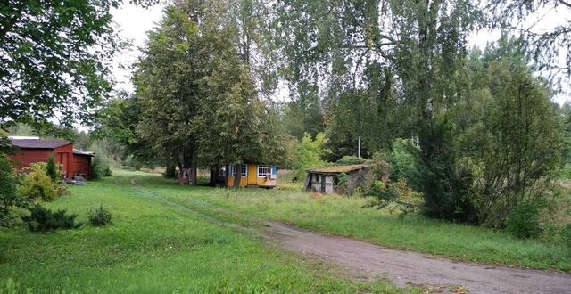 д Пятчино Плюсса фото