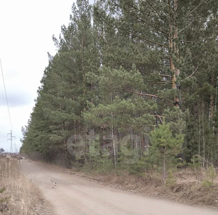 дом г Железногорск снт N 20 ул Энтузиастов 69 фото 41