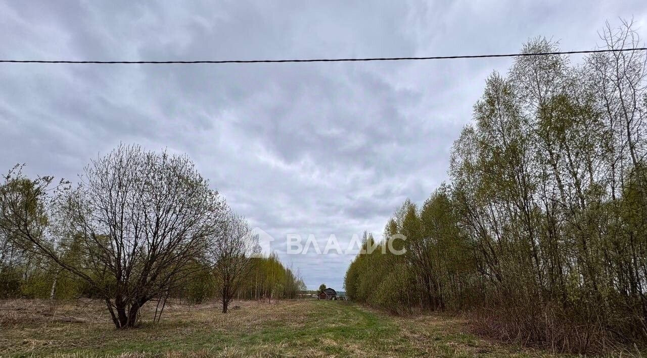 земля г Бор д. Остреево, уч 133А фото 3