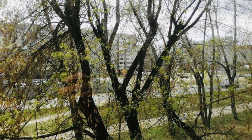 квартира г Иркутск р-н Ленинский ул Баумана 204 Ленинский административный округ фото 16