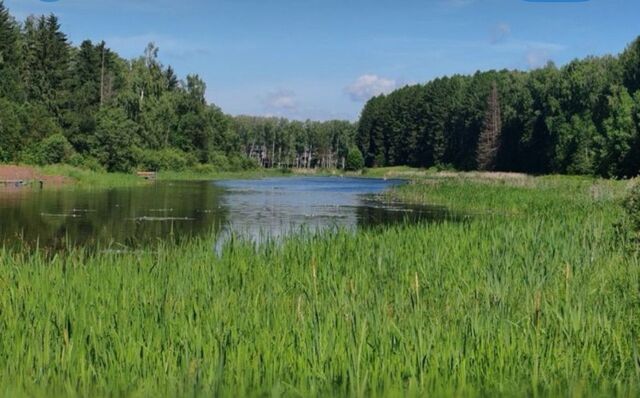 46 км, дачные участки Северное Якунино, Волоколамское шоссе фото