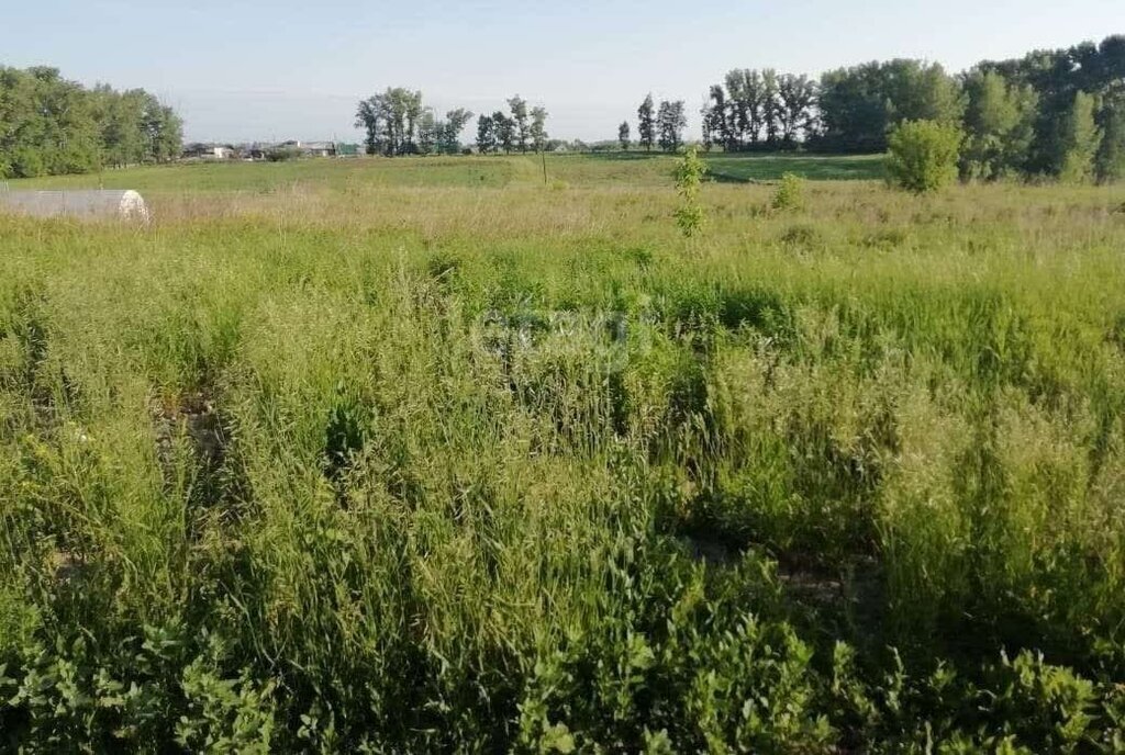 земля г Бийск ул Новая фото 2