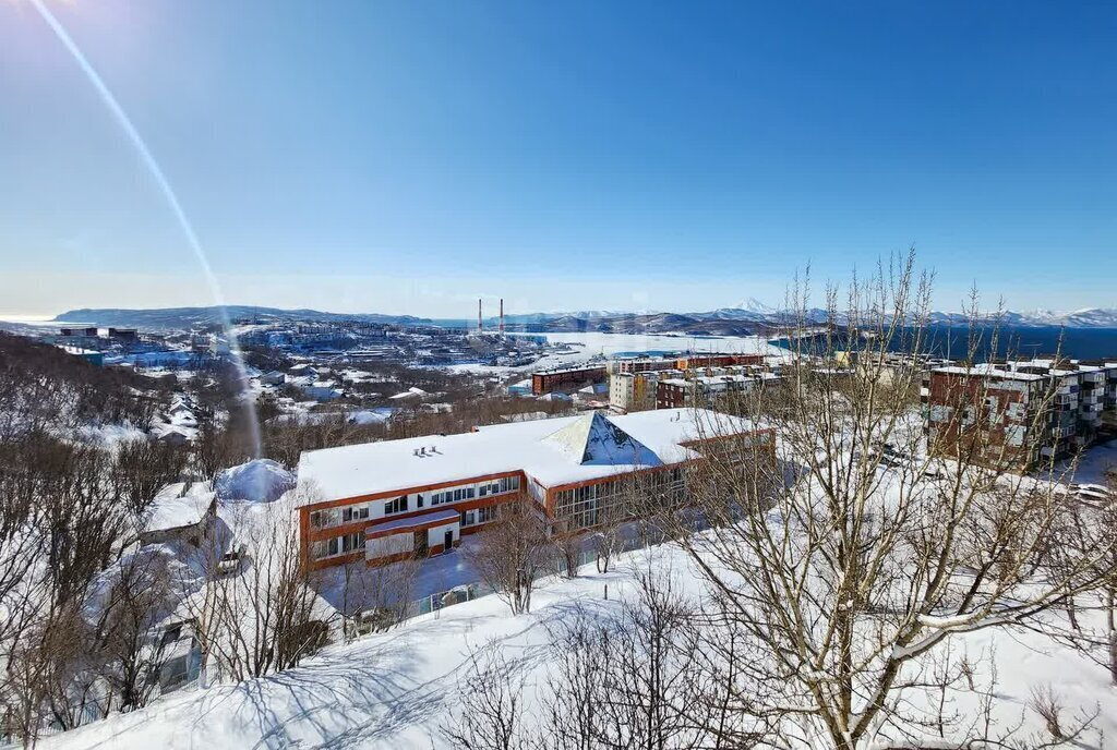 квартира г Петропавловск-Камчатский ул Пономарева 29 фото 8