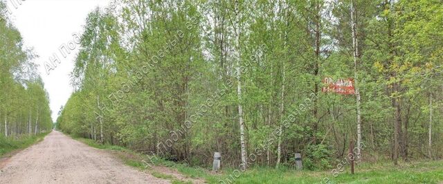 снт тер.Авионика 58 фото
