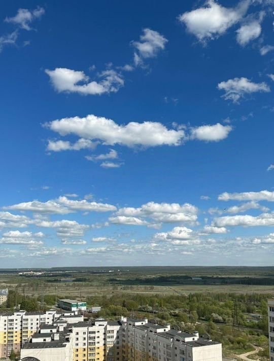 квартира г Владимир р-н Ленинский ул Нижняя Дуброва 11 ЖК «Орбита» фото 4