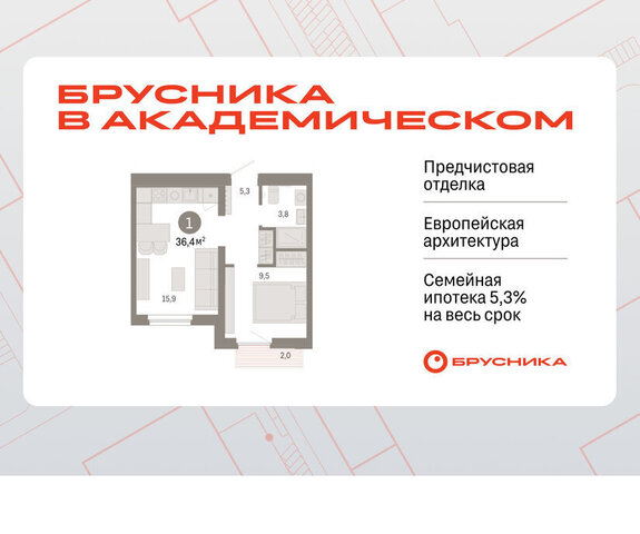 Чкаловская ЖК Брусника в Академическом фото