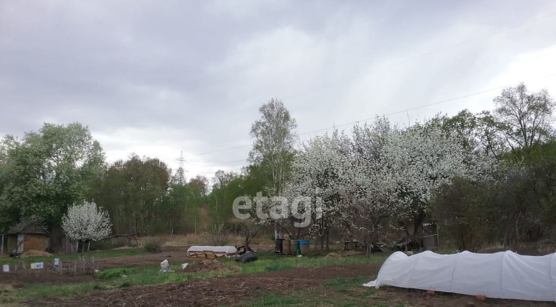 земля г Благовещенск фото 4