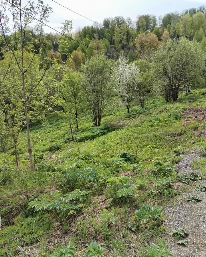 земля г Горно-Алтайск фото 6