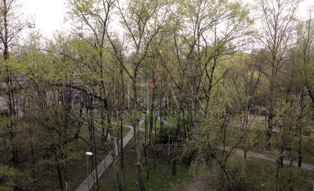 квартира г Санкт-Петербург пр-кт Юрия Гагарина 44 Звёздная фото 2