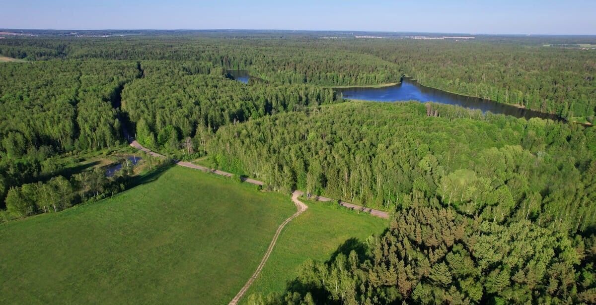 земля г Пушкино пр-кт Московский 43/7 16 км, г. о. Пушкинский, Ярославское шоссе фото 4