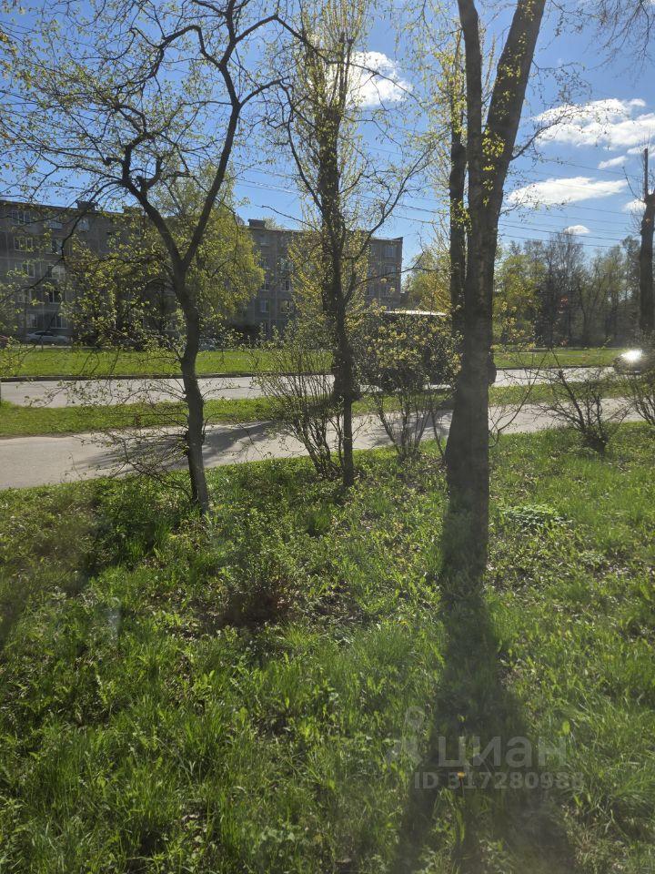 квартира г Санкт-Петербург р-н Невский ул Шелгунова 15л Ленинградская область фото 18