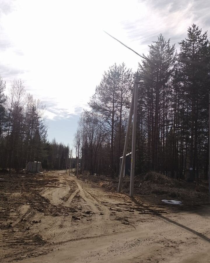 земля р-н Всеволожский г Всеволожск Дорога жизни, 12 км, Всеволожское городское поселение, территория СОСН Бирюлинская фото 1