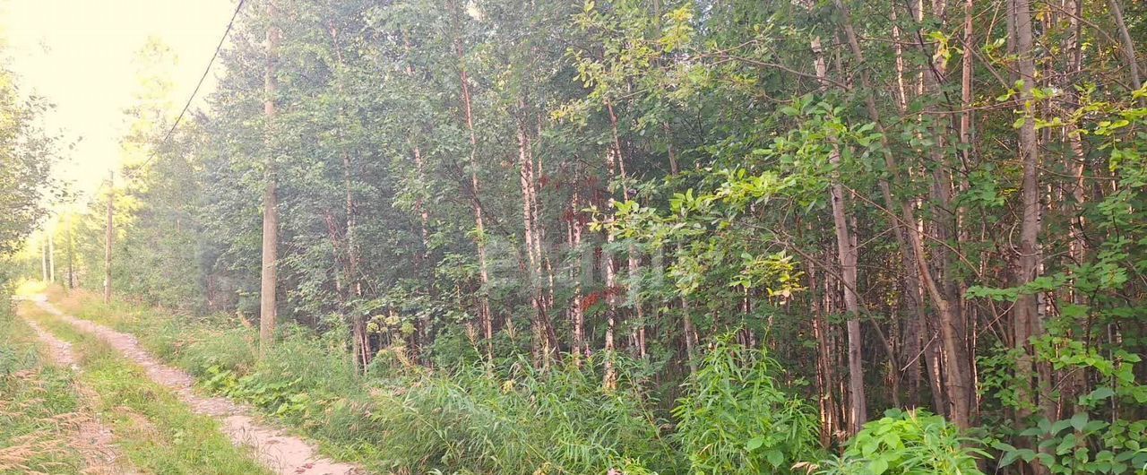 земля г Ханты-Мансийск снт Учитель-3 садово-огородническое товарищество фото 2