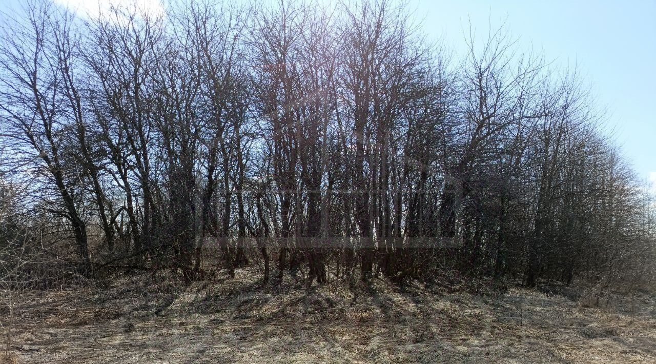 дом г Переславль-Залесский ул Садовая 4 д. Кошелево фото 5