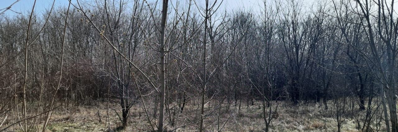 офис р-н Аксайский г Аксай ул Новочеркасское Шоссе фото 3