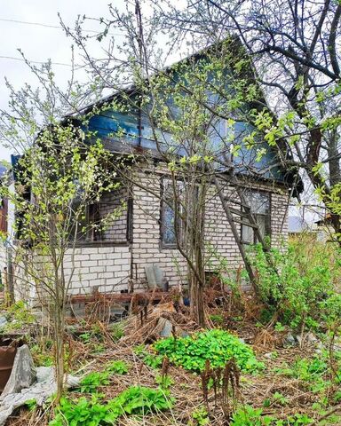 земля 236, Бор фото