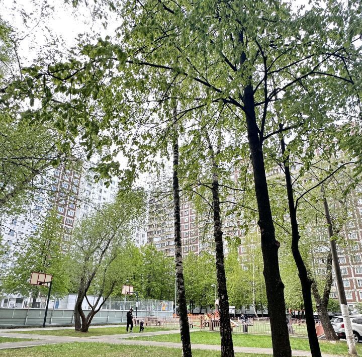 квартира г Москва метро Алма-Атинская ул Борисовские Пруды 48к/2 муниципальный округ Братеево фото 10
