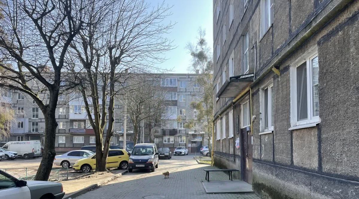 квартира г Светлый ул Заводская 8 фото 29