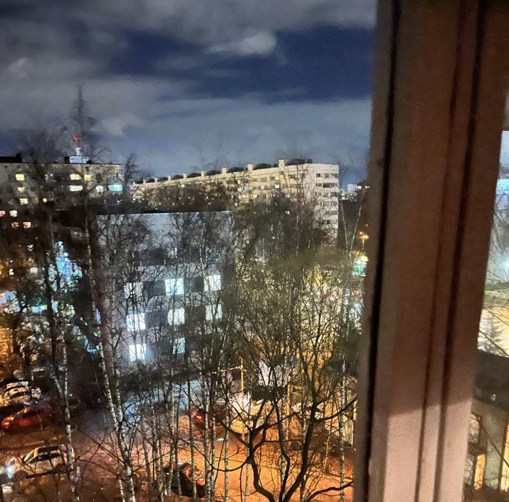 квартира г Санкт-Петербург метро Проспект Просвещения ул Есенина 36к/1 округ Сергиевское фото 40