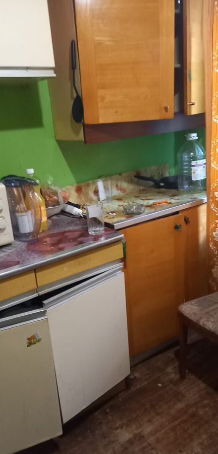 комната г Санкт-Петербург метро Ладожская пр-кт Ударников 24 округ Пороховые фото 5