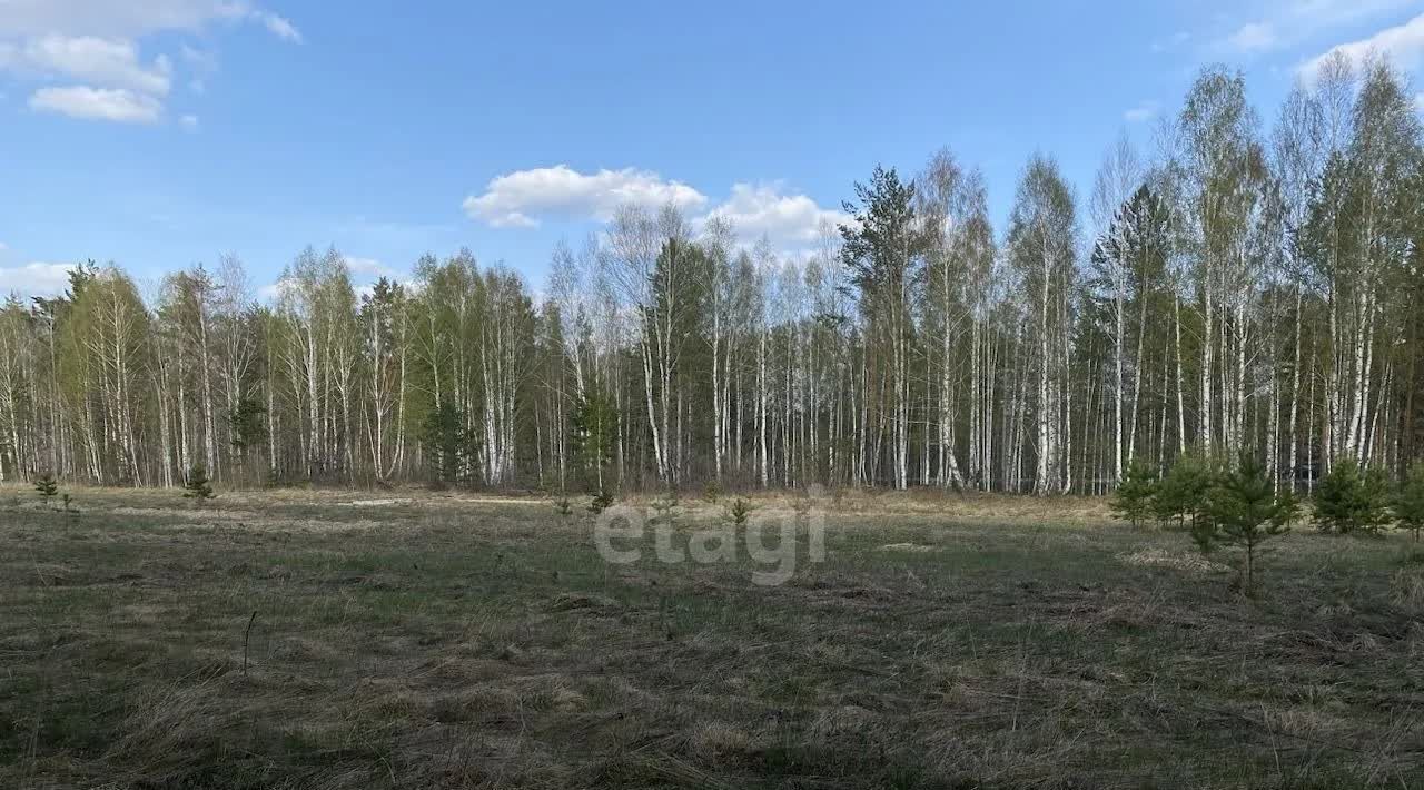 земля г Полевской с Курганово ул 1-ая Малахитовая фото 5