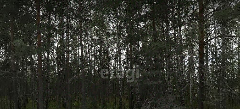земля г Полевской с Курганово тер Кордон Кургановский фото 5