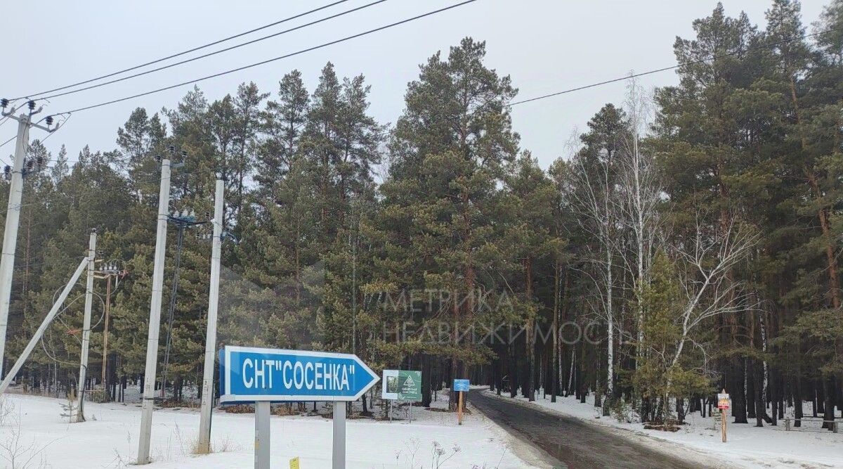 земля г Тюмень снт Сосенка ул Сосновая 39 фото 1
