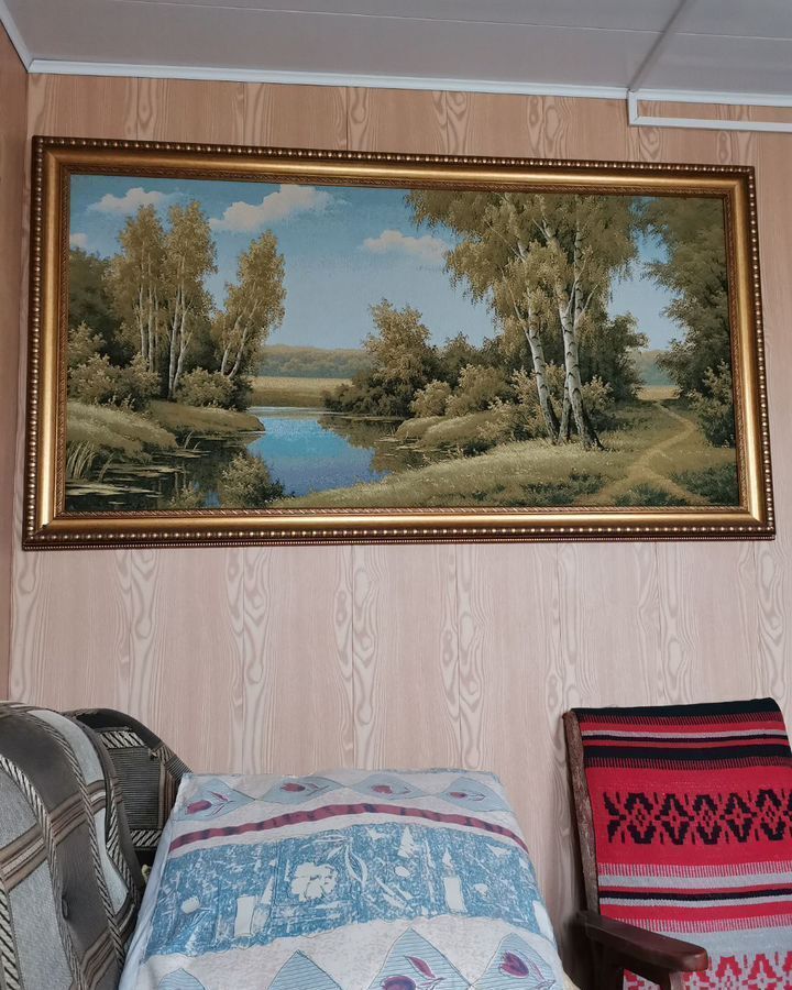 дом г Омск снт Весна Азовский немецкий р-н, 5-я аллея фото 14