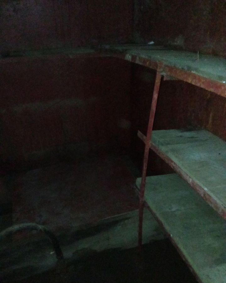 гараж г Домодедово с Ильинское городской округ Домодедово фото 6