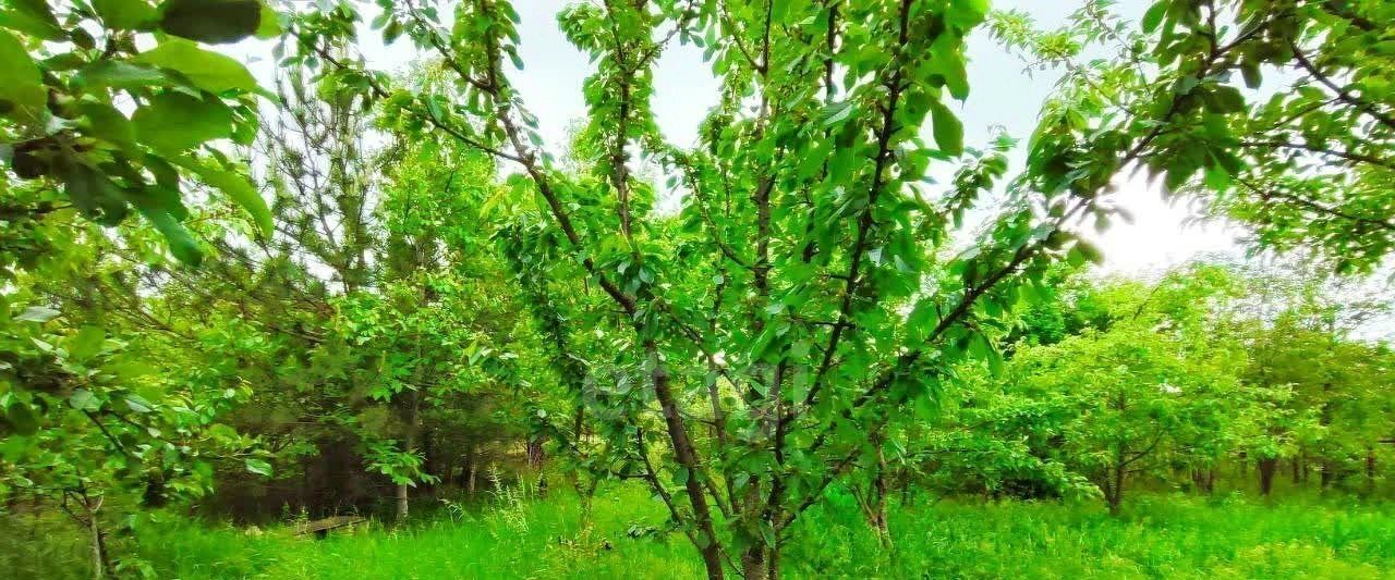 земля г Красноперекопск снт Строитель ул Цветочная с пос, Симферопольский район, Добровское фото 7
