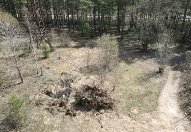 31 км, садовое товарищество Плёс, 38, Дмитровское шоссе фото