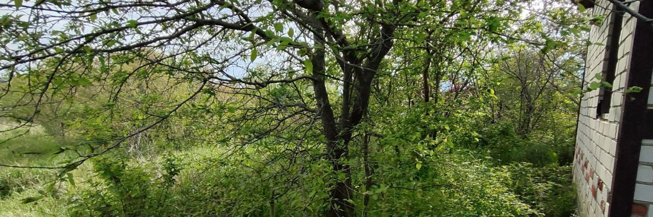 земля г Волгоград р-н Кировский снт Восход 20-я линия фото 4