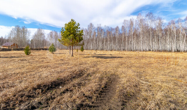 снт Сундукуль фото
