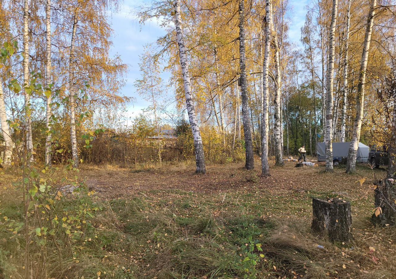 земля г Ярославль р-н Заволжский снт Очапки ул Беговая фото 5